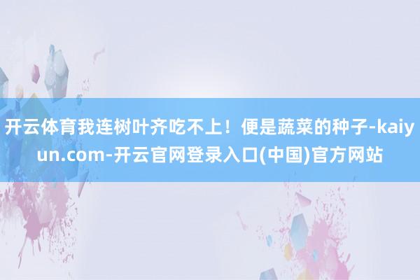 开云体育我连树叶齐吃不上！便是蔬菜的种子-kaiyun.com-开云官网登录入口(中国)官方网站