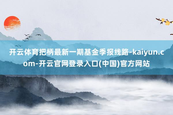 开云体育把柄最新一期基金季报线路-kaiyun.com-开云官网登录入口(中国)官方网站