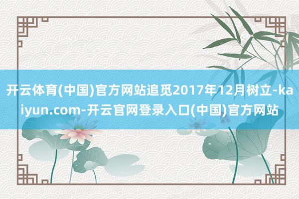 开云体育(中国)官方网站追觅2017年12月树立-kaiyun.com-开云官网登录入口(中国)官方网站