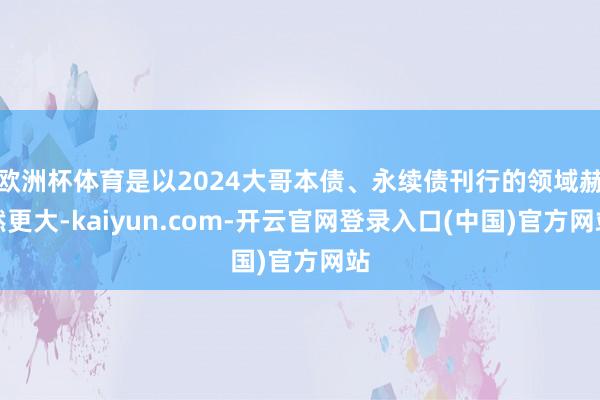 欧洲杯体育是以2024大哥本债、永续债刊行的领域赫然更大-kaiyun.com-开云官网登录入口(中国)官方网站
