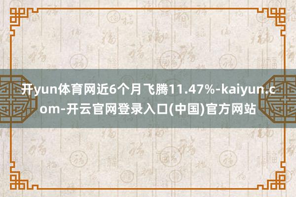开yun体育网近6个月飞腾11.47%-kaiyun.com-开云官网登录入口(中国)官方网站