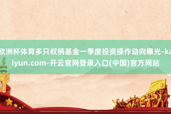 欧洲杯体育多只权柄基金一季度投资操作动向曝光-kaiyun.com-开云官网登录入口(中国)官方网站