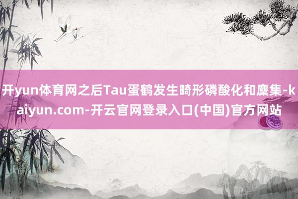 开yun体育网之后Tau蛋鹤发生畸形磷酸化和麇集-kaiyun.com-开云官网登录入口(中国)官方网站