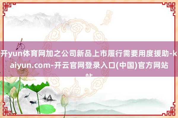 开yun体育网加之公司新品上市履行需要用度援助-kaiyun.com-开云官网登录入口(中国)官方网站