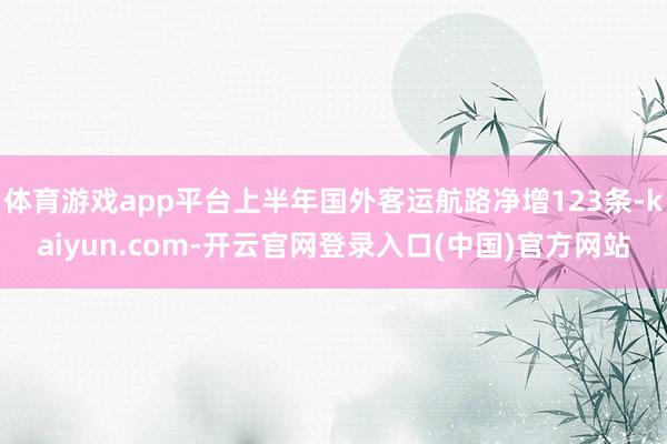 体育游戏app平台上半年国外客运航路净增123条-kaiyun.com-开云官网登录入口(中国)官方网站