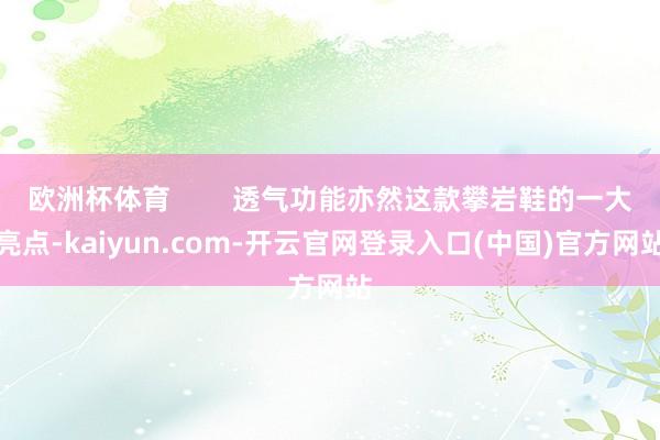 欧洲杯体育        透气功能亦然这款攀岩鞋的一大亮点-kaiyun.com-开云官网登录入口(中国)官方网站